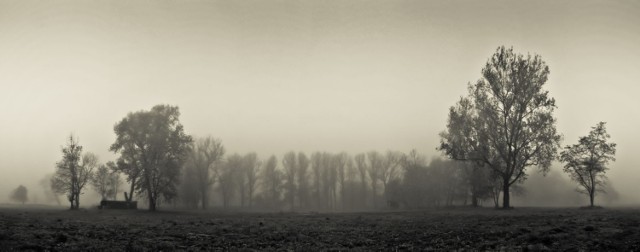 Mglisto się zaczęło (lotnisko Rakowice-Czyżyny). Fot. Marcin Majkowski