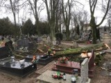 Silny wiatr w Gnieźnie. Poprzewracane drzewa na cmentarzu św. Piotra