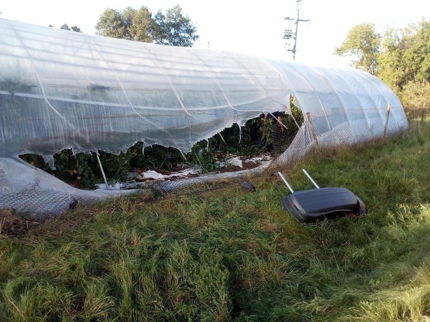 Samochód osobowy, poruszający się Drogą Krajową 55 w...