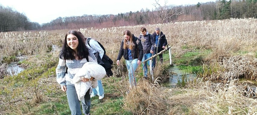 Młodzież z LO w Szprotawie na ścieżce "Starożytnych Bobrzan"