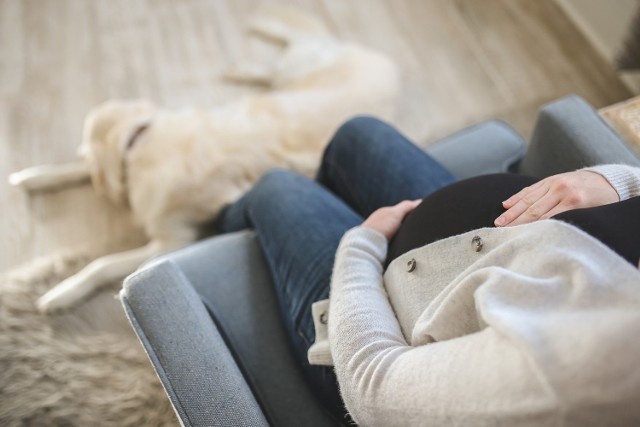 Kobiety w ciąży, które przebywają na zwolnieniu lekarskim, mają prawo do zasiłku chorobowego w wysokości 100% średniego miesięcznego wynagrodzenia.