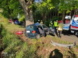 Auto osobowe uderzyło w drzewo niedaleko Starej Wiśniewki