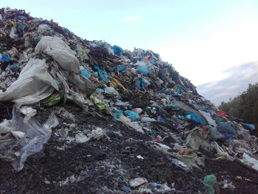 Nielegalne wysypisko śmieci na terenie kopalni Miechowice w...