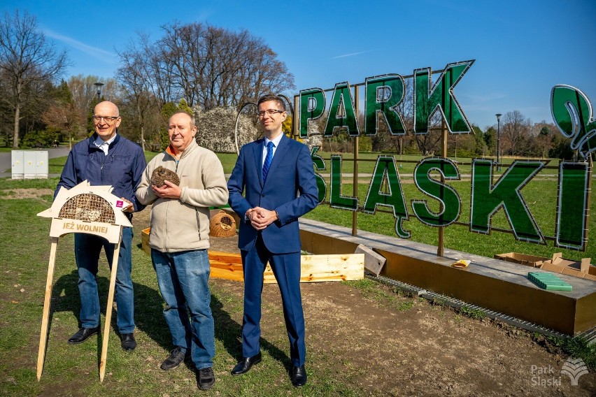 Dwanaście jeżyków po rekonwalescencji powróciło na łono natury, a ich nowym środowiskiem stał się Park Śląski. Opiekował się nimi pan Piotr 