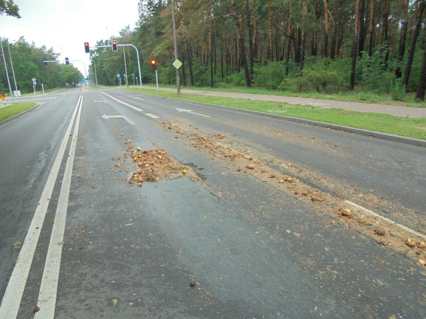 Na ulicy Wienieckiej we Włocławku rozsypane sfermentowane jabłka [zdjęcia]