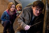 Maratony Filmowe Harry'ego Pottera w kinie Helios. 20 i 27 marca seanse w Magnolii [bilety]