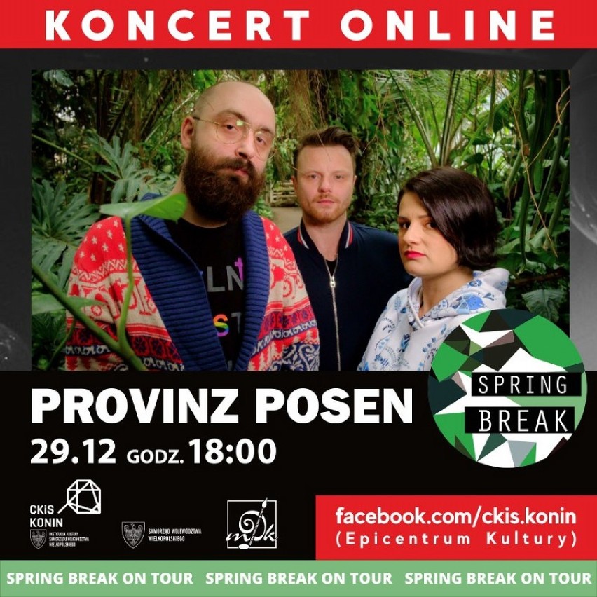 Koncert Provinz Posen online - elektronika i muzyka źródeł