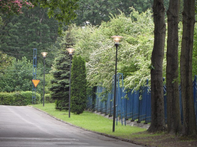 Zapalone latarnie wzdłuż al. Parkowej w Świętochłowicach