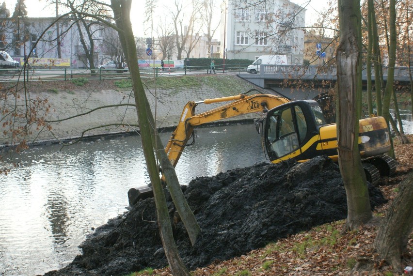 Trwa oczyszczanie kanału rypinkowskiego w Kaliszu z...