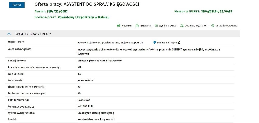 Oferty pracy w Kaliszu i powiecie kaliskim. Ile można zarobić? 