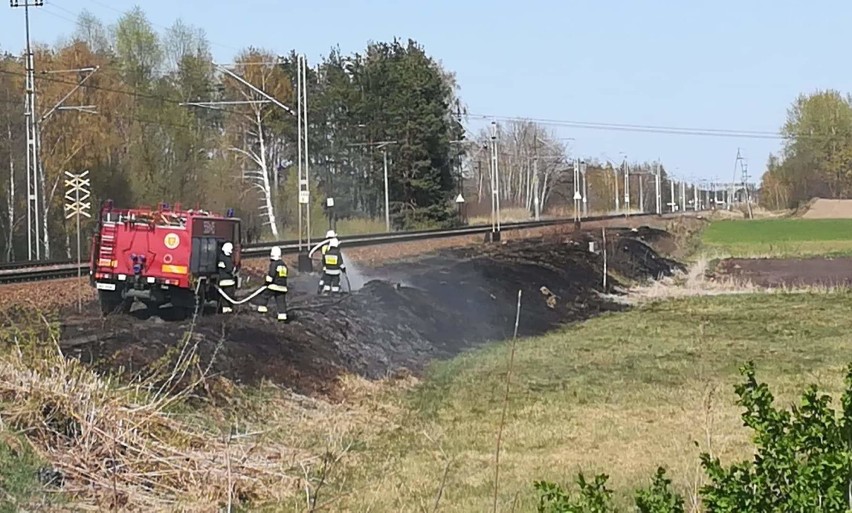 Pożary traw wzdłuż linii kolejowej na trasie Kamionki-Czystochleb. W akcji kilkudziesięciu strażaków [zdjęcia]