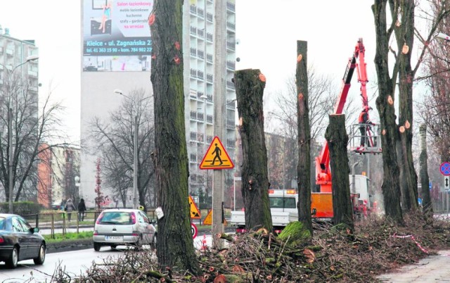Z rosnących przy ulicy Jagiellońskiej drzew zostały same pnie - alarmował w piątek Czytelnik.