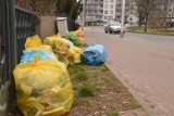 Worki z odpadami na ulicach w Zielonej Górze. Czy z powodu koronawirusa utoniemy w śmieciach? 