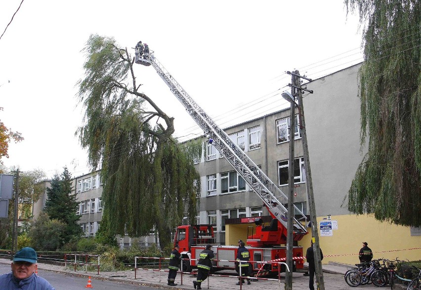 Strażacy usuwali konar przy Zespole Szkolno-Gimnazjalnym nr...