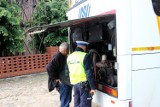 Policjanci z Lipna kontrolują autokary i kierowców. W Czarnem sprawdzili pojazd przed wycieczką dzieci [zdjęcia]