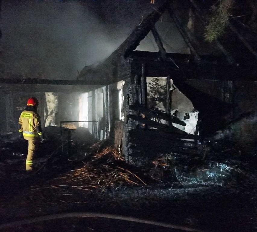 Tragedia w Myszkowie. W pożarze domku letniskowego zginęły dwie osoby 