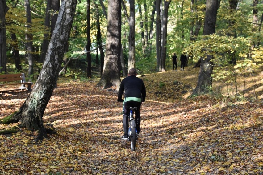 Park Poetów jesienią także zachęca do spacerów czy biegania....