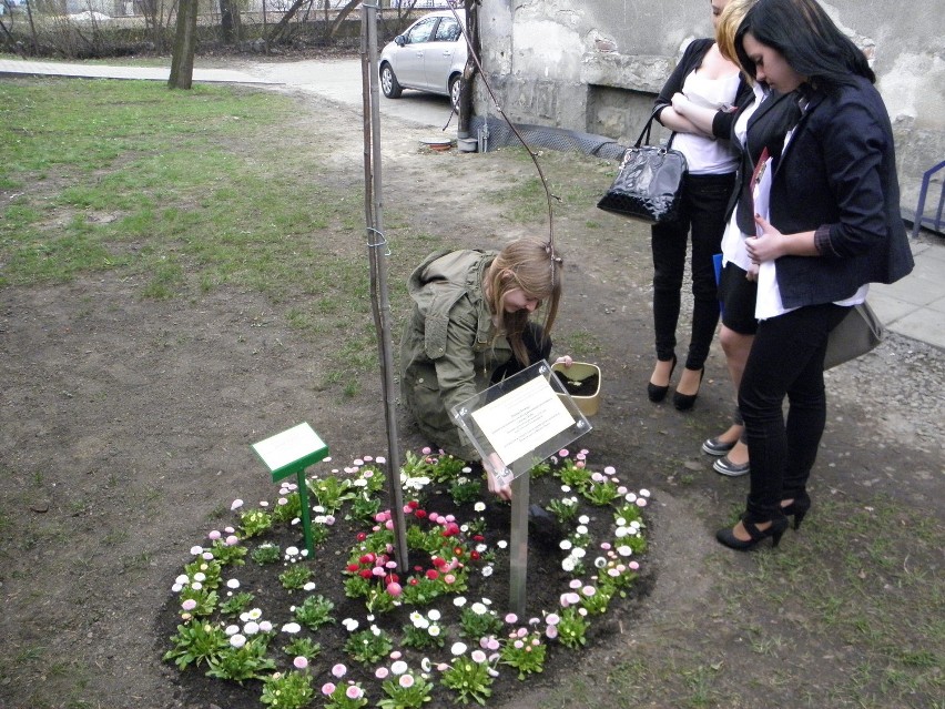 Bielsko-Biała: Drzewo Pamięci dla pomordowanych żydowskich dzieci