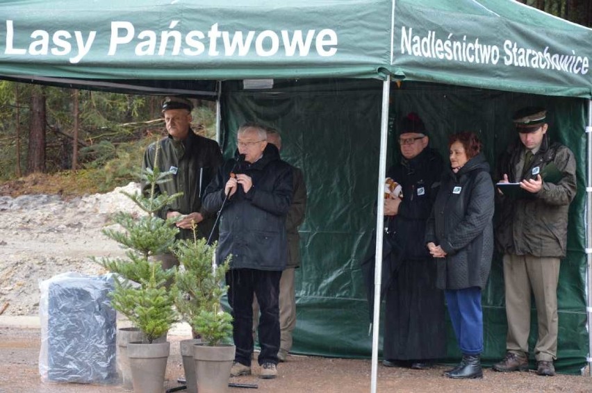 Sadzenie lasu w leśnictwie Majówka. Nikt się nie ociągał.