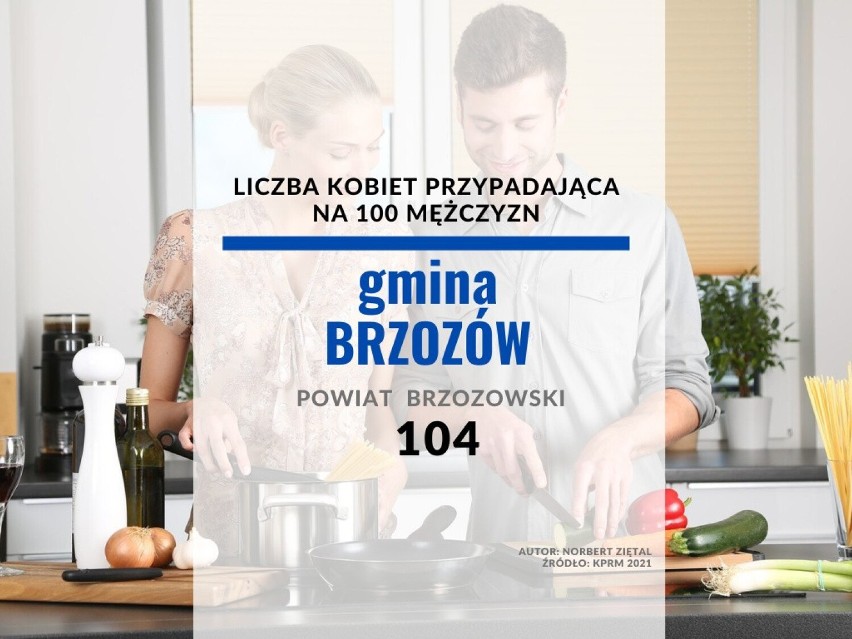 28. miejsce - gmina Brzozów (powiat brzozowski):...