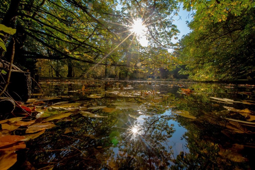 Ten zabytkowy park, którego początek sięga czasów cystersów,...