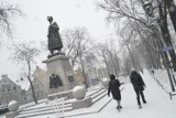 Tak rok temu zima zawitała do Rawicza. Na śnieg w Rawiczu trzeba było czekać do grudnia [ZDJĘCIA]