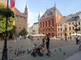 Propozycja na weekendowy wyjazd - Toruń. Starówka jest przepiękna!