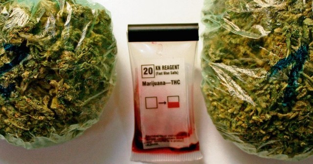 Policjanci u rodzeństwa zabezpieczyli 31 gramów marihuany