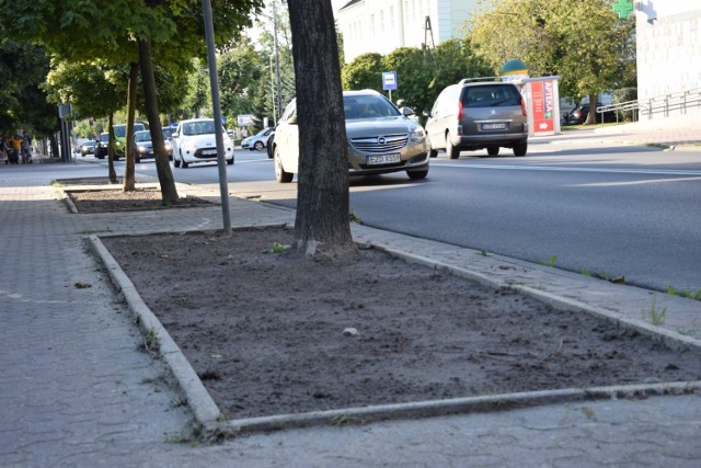 Wracają trawniki przy Łaskiej. Drzewa nie będą już betonowane?