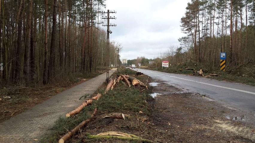 W lutym 2017 roku wzdłuż dałej drogi nr 160 wycięto drzewa....