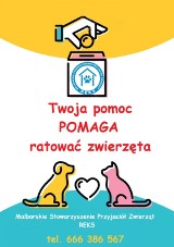 Malbork. Reks prosi o pomoc w leczeniu zwierząt. Koszty zapewnienia im zdrowia, a czasami ratowania życia - są bardzo duże 