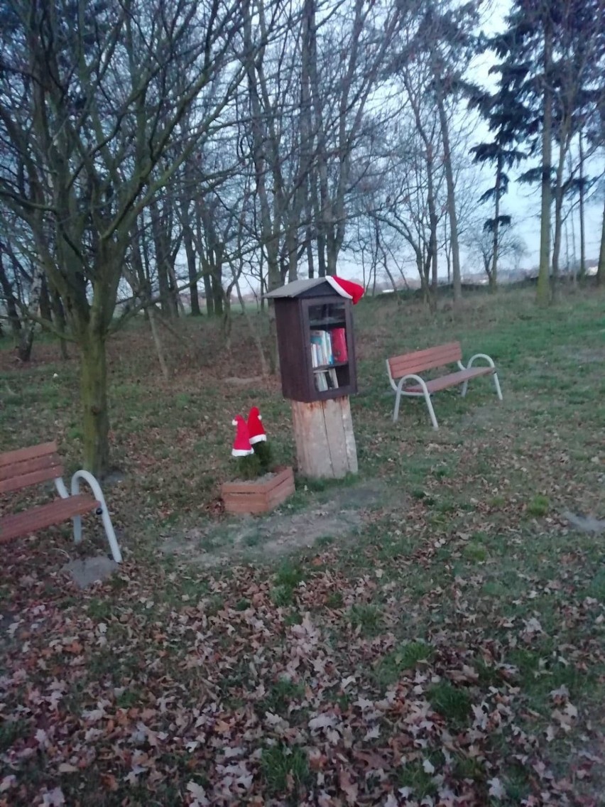 Jedlec przystroił się na Boże Narodzenie ZDJĘCIA