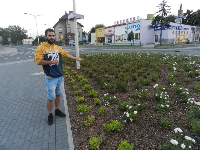 Po posadzeniu kwiatów na rondzie Wojaczka i w jego okolicach przyszedł czas na kolejne tereny.