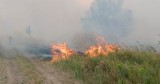 Ogromny pożar traw pod Krosnem Odrzańskim. Hektary nieużytków w ogniu w okolicach Odry, między Radnicą a Szczawnem