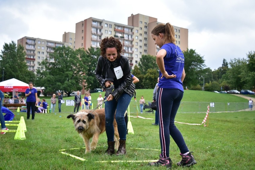 Piknik ekologiczny na Klimzowcu