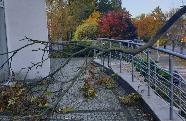 Do bardzo niebezpiecznej sytuacji doszło niedaleko sklepu Aldi w Zielonej Górze.