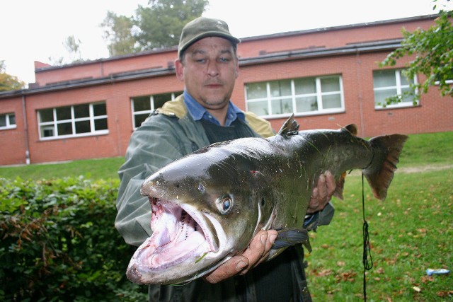 Takie ryby łowi się w Wieprzy i Grabowej