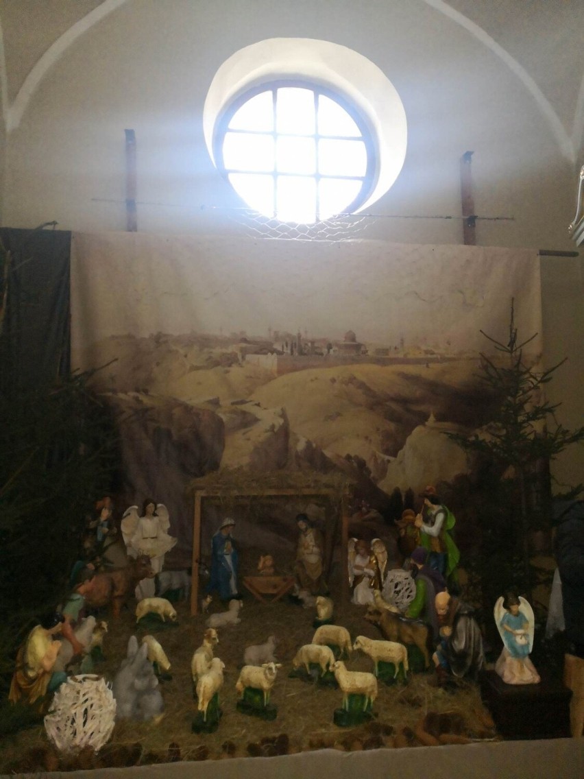 Bożonarodzeniowa szopka w kościele pod wezwaniem...