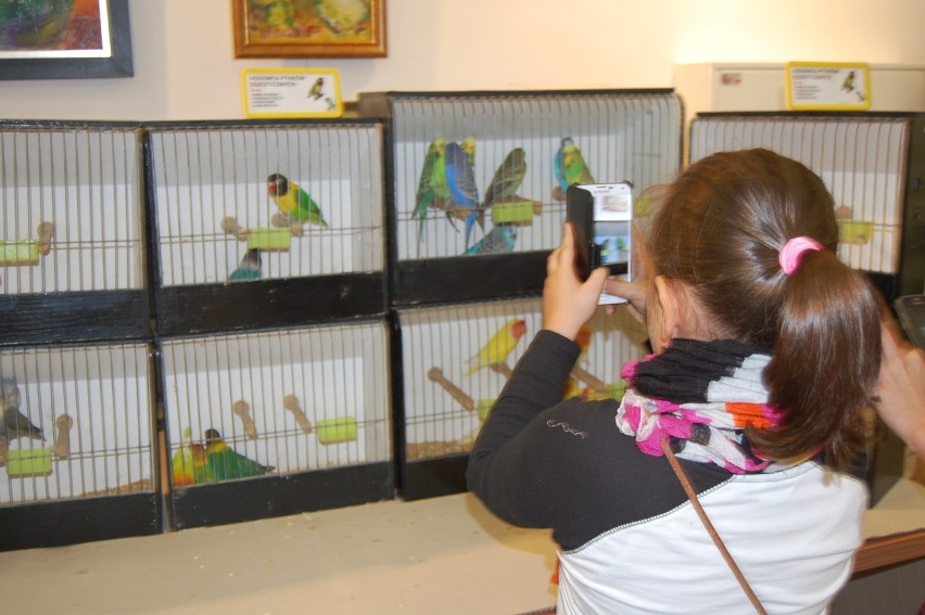 Wystawa ptaków egzotycznych w Soleckim Centrum Kultury