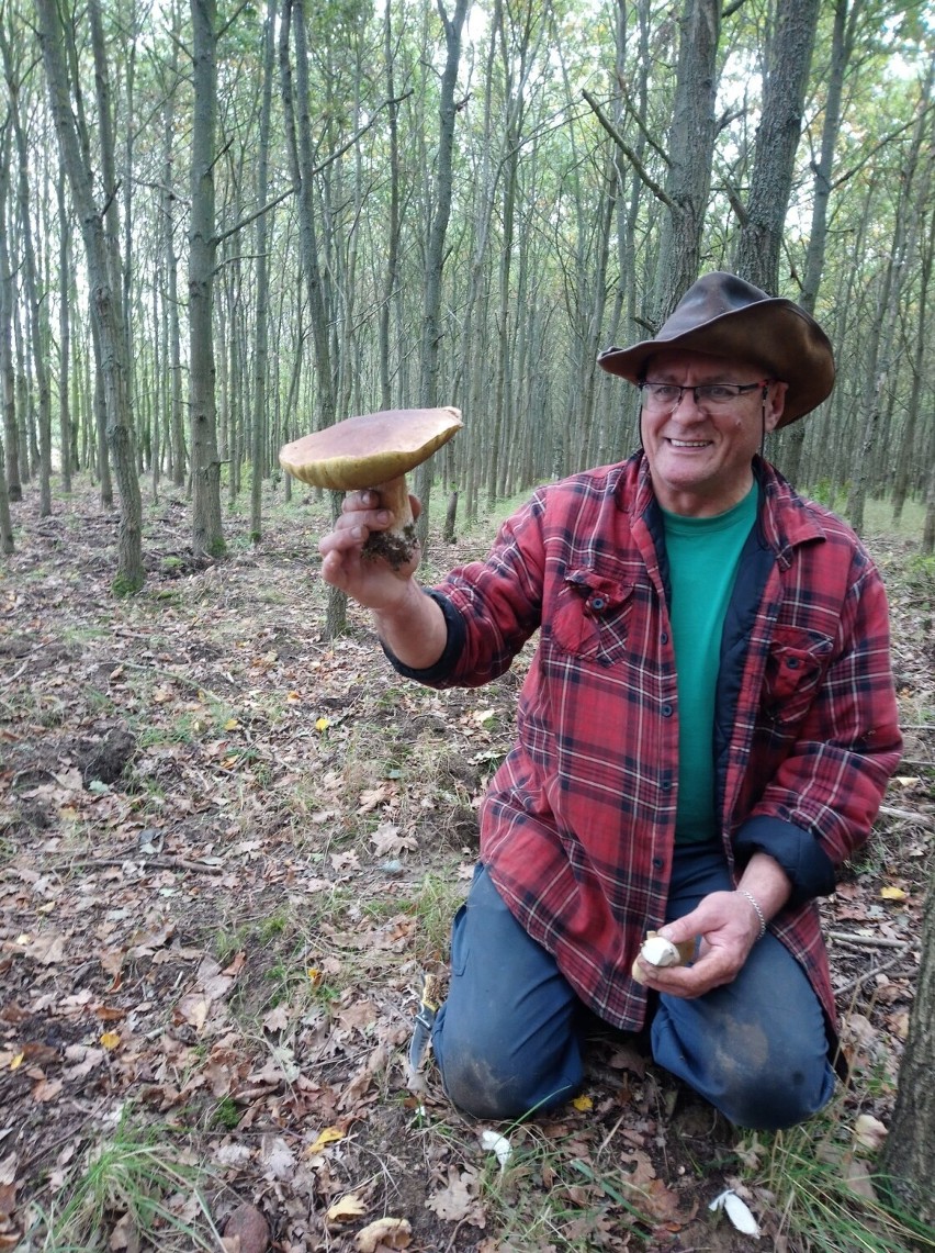 Grzybobranie 2022 w lasach Szczecina i okolic. Takimi...