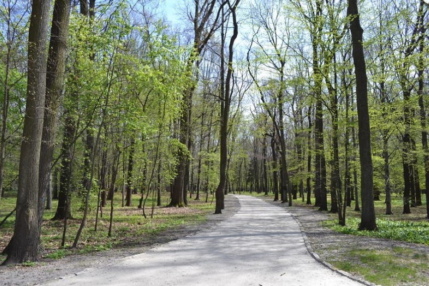 Park Zielona

Zielona w Dąbrowie Górniczej zachwyca. Czas...