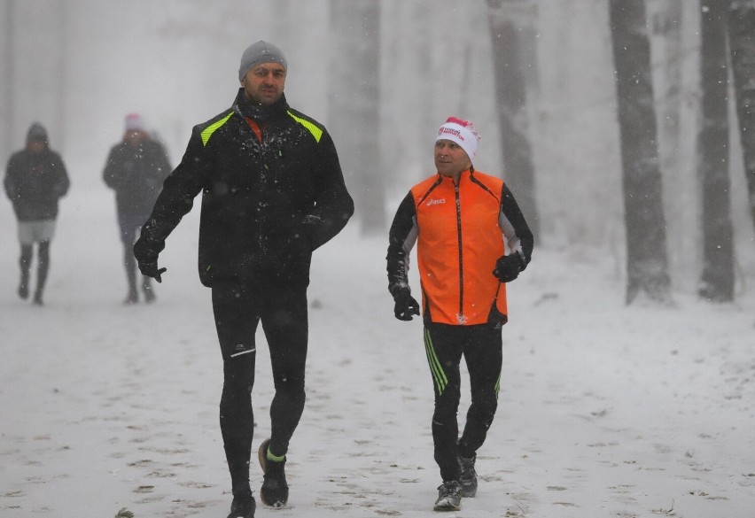 Uczestnicy Parkrunu Toruń pokonali pięć kilometrów w śniegu [zdjęcia]