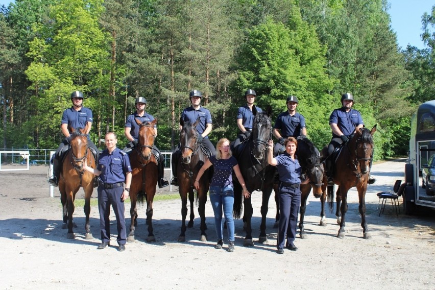 W Smardzewicach trwa atestacja policyjnych koni
