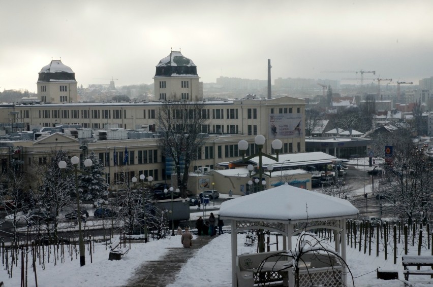 Widok z Palmiarni na miasto (zdjęcia)