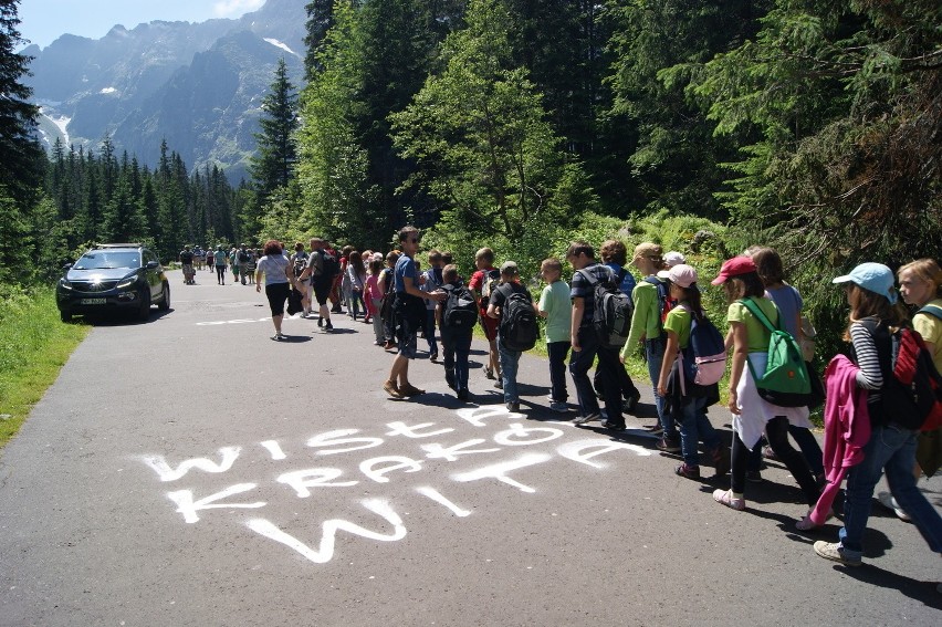 Napisy na drodze do Morskiego Oka, 2013 rok