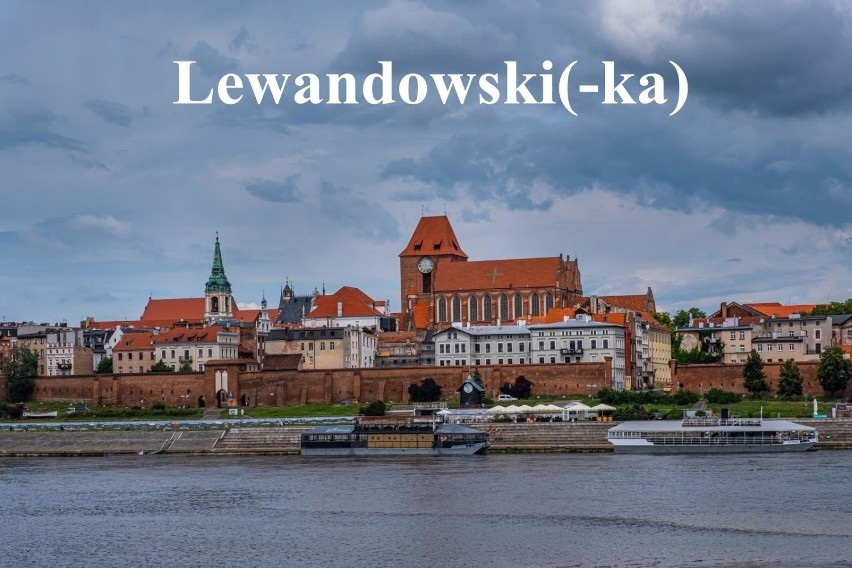 Lewandowski(-ka)

W kraju Lewandowscy plasują się dopiero na...