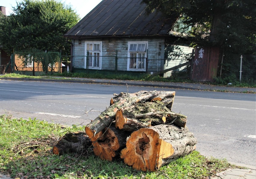 Wycinka drzew na ul. św. Piątka