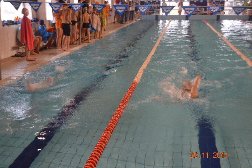 "Delfin" na zawodach w Pajęcznie 2014
