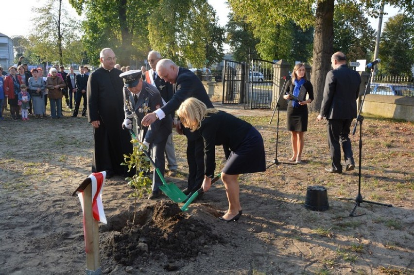 Dąb pamięci generała Błasika