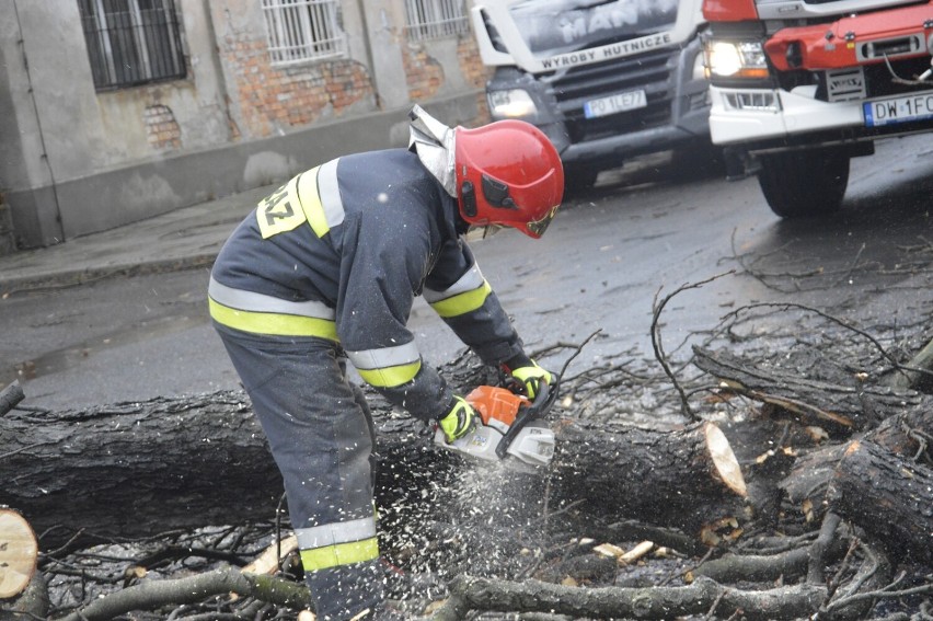 Drzewo runęło na drogę przy ul. Elektrycznej